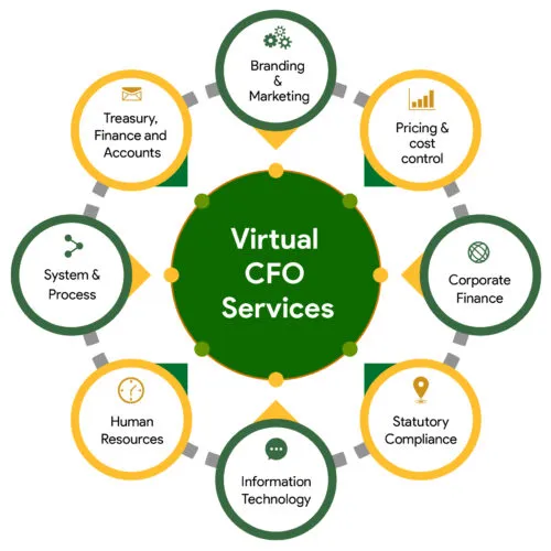 Virtual CFO Services