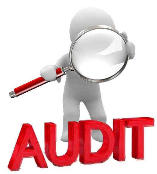 Audit Support and Compliance